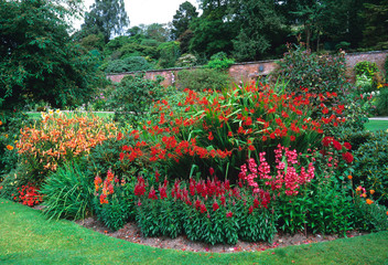 Red flower border with crocosmia, penstemon and antirrhinum in a country garden