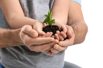 Naklejka na ściany i meble Man and child with young plant on white background, closeup