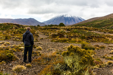 Fototapeta premium Viewing Mount Ngaurohoe, Tongariro National Park.