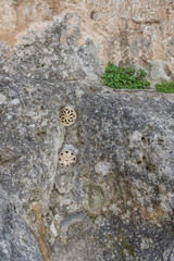 Small Good Luck Charms in a Rock Wall in The Ancient City of Matera, Italy