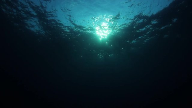 Underwater blue ocean background video footage 