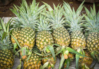Fresh pineapple tropical fruit for sale in the market