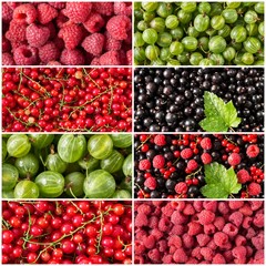 Colorful collage of different berries. Set of  berries