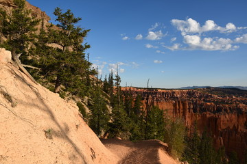 landscape on the bryce canyon in the united states of america