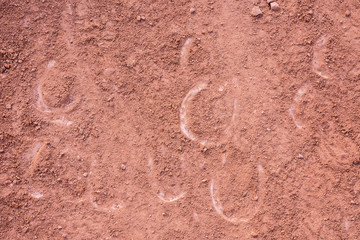 landscape on the bryce canyon in the united states of america