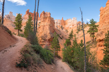 landscape on the bryce canyon in the united states of america