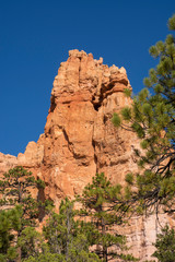 landscape on the bryce canyon in the united states of america