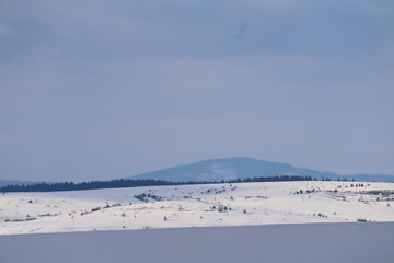 Fototapeta na wymiar Mountain winter landscape of snowed forest