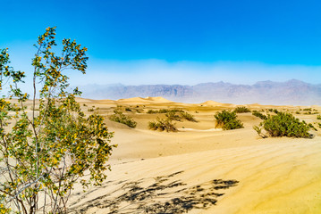デスバレー国立公園