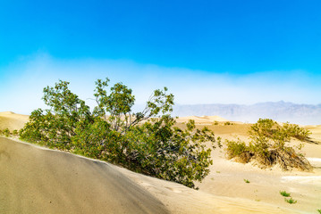 デスバレー国立公園
