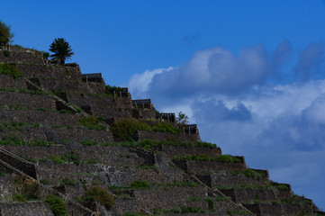 Fototapeta premium in Terrassen an den Berghängen angelegte Feldflächen auf La Gomera