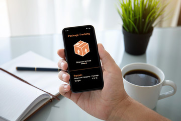 man hand holding phone with app tracking delivery package