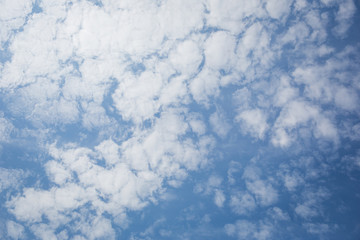 Fototapeta na wymiar white cirrocumulus clouds in the blue sky