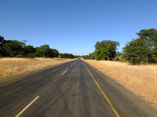 Botswana, Africa, Safari