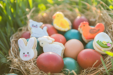 Fototapeta na wymiar cute easter decoration and colorful painted easter eggs in a basket placed in a green grass with backlight spring concept