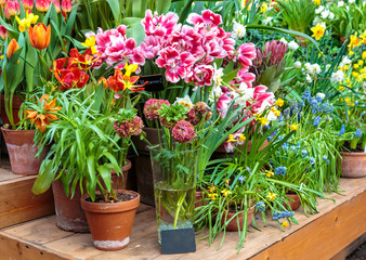 Flowers in green house. Floral bouquet shop. Blooming plants and multi color flowers inside a garden center