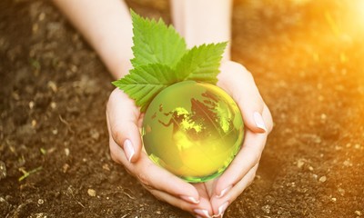 Eco earth green plant tree idea hand