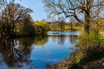 Fototapeta na wymiar The lake in Mote Park in Maidstone, Kent
