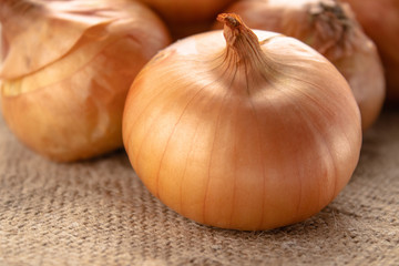Fresh onion on wooden background and on burlap. Ripe onions Allium cepa or onions or vegetarian and vegan food.