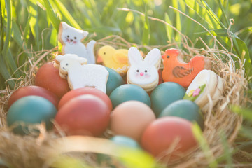 Fototapeta na wymiar cute easter decoration and colorful painted easter eggs in a basket placed in a green grass with backlight spring concept