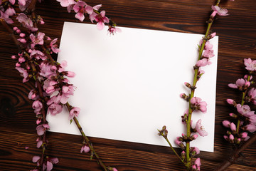 White paper sheet and sprigs of the apricot tree with flowers on wooden background. Place for text. The concept of spring came, happy easter, mother's day.Top view.Flay lay. Copy space.