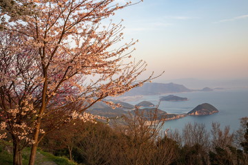 Cherry blossoms and Islands in the Seto Inland Sea (spring evening) ,Shikoku,Japan