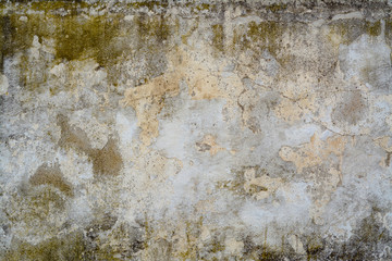 Old concrete wall with mold, moss and cracks