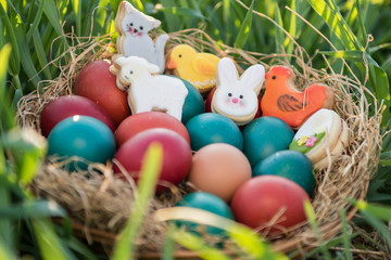 cute easter decoration and colorful painted easter eggs in a basket placed in a green grass with backlight spring concept