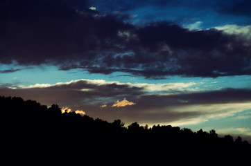 Sunset and tree silhouettes