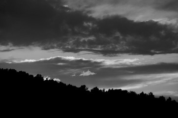 Sunset and tree silhouettes