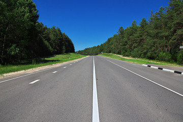 Belovezhskaya Pushcha,  Belarus