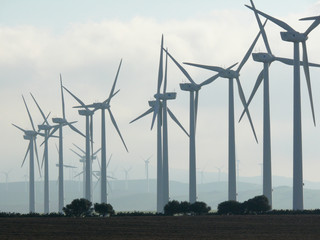 Jerez de la Frontera, Spain.  Wind farm with high bladesw. Wind farm with high blades
