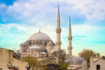 Fototapeta na wymiar Fatih Mosque (Conqueror's Mosque), Istanbul.
