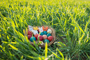 Fototapeta premium cute easter decoration and colorful painted easter eggs in a basket placed in a green grass with backlight spring concept