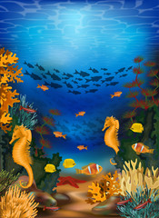 Underwater banner  with algae and sea horse, vector illustration