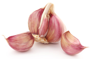 Garlics over white background