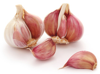 Garlics over white background