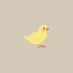 chick standing side view