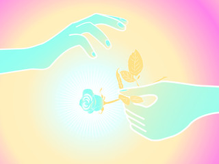 illustration of a rose in the hands in a delicate color scheme