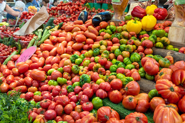 Organic tomatoes on the counter of the food market. Different varieties of delicious ripe Italian tomatoes are on display.