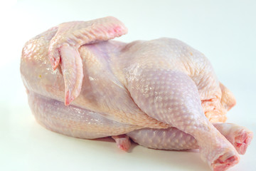 fresh chicken on the table