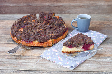 Kakao-Streuselkuchen