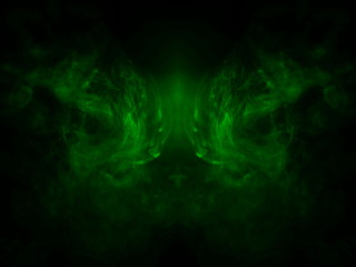 pug smoke texture . cute adorable dog concept background . abstract projector green light in the air .