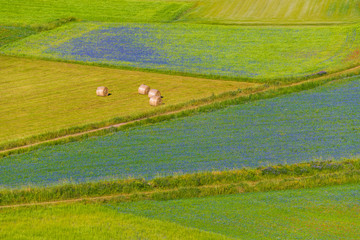Naklejka premium Plans Castelluccio in Italy