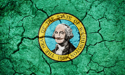 Obraz na płótnie Canvas State flag of Washington