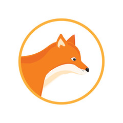 Obraz premium Forest red fox