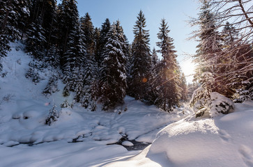 Fantastic winter forest landscape. Icy snowy fir trees glowin in sunlight. winter holiday concept. travel happy day. wonderland in winter. background in postcard. creative artistic image