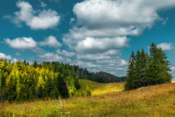 Naklejka premium View of a hilly and woody landscape in sunny day with clouds in the sky