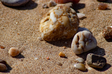 Obraz na płótnie Canvas rocks on the beach