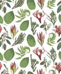 Seamless pattern, background, texture print vector. Pink leucadendron flowers, gaultheria,salal, jatropha, brunia, green fern, eucalyptus. Tender, elegant textile fabric, wrapping